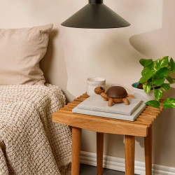 Spring Copenhagen Slowy - Skildpadde