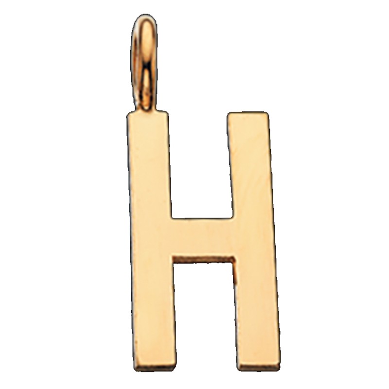 Scrouples H vedhæng forgyldt inkl. kæde