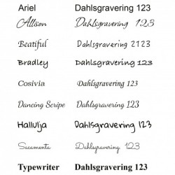 Postkasseskilt 60 x 200 mm Sølv med sort tekst