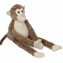 Navnebamse - Abe med lange...